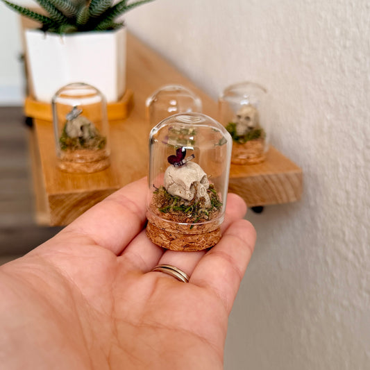 Mini Skull Terrarium with Butterfly | Gothic Cottagecore Décor | Miniature Moss Terrarium