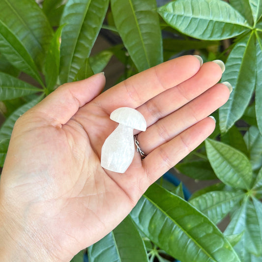 Selenite Mushroom Carving
