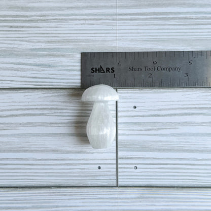 Selenite Mushroom Carving