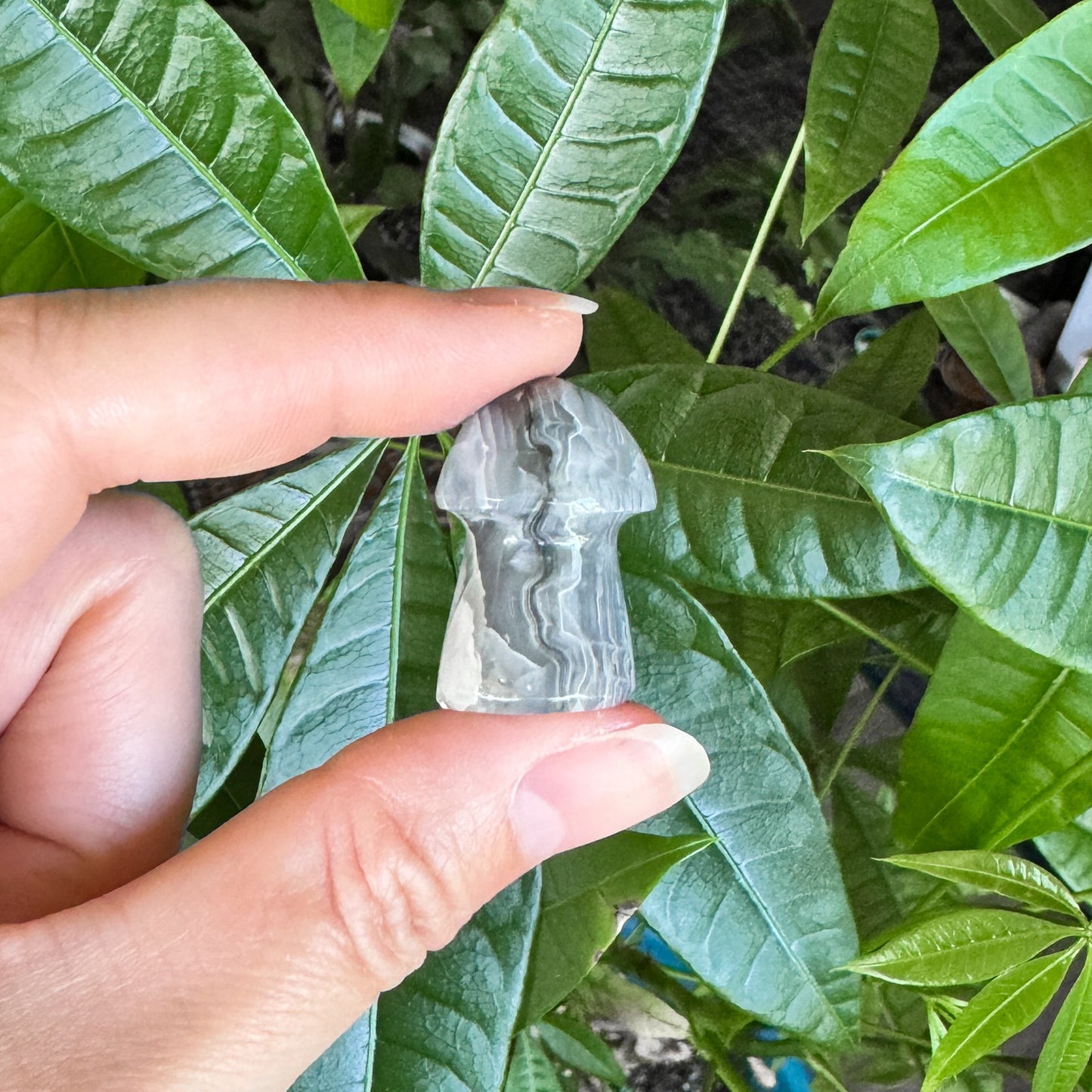Banded Calcite Mini Mushroom - Gray & White Stone Carvings