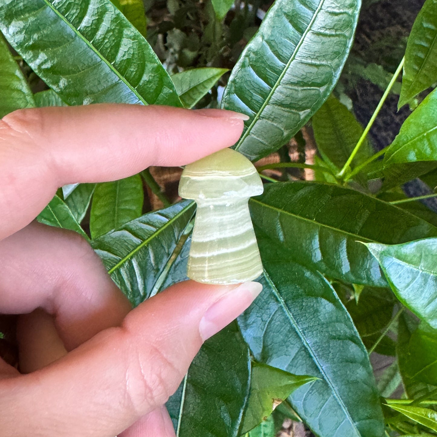 Mini Calcite Mushroom - Green & Brown Stone Carvings