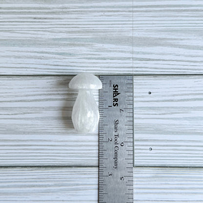 Selenite Mushroom Carving