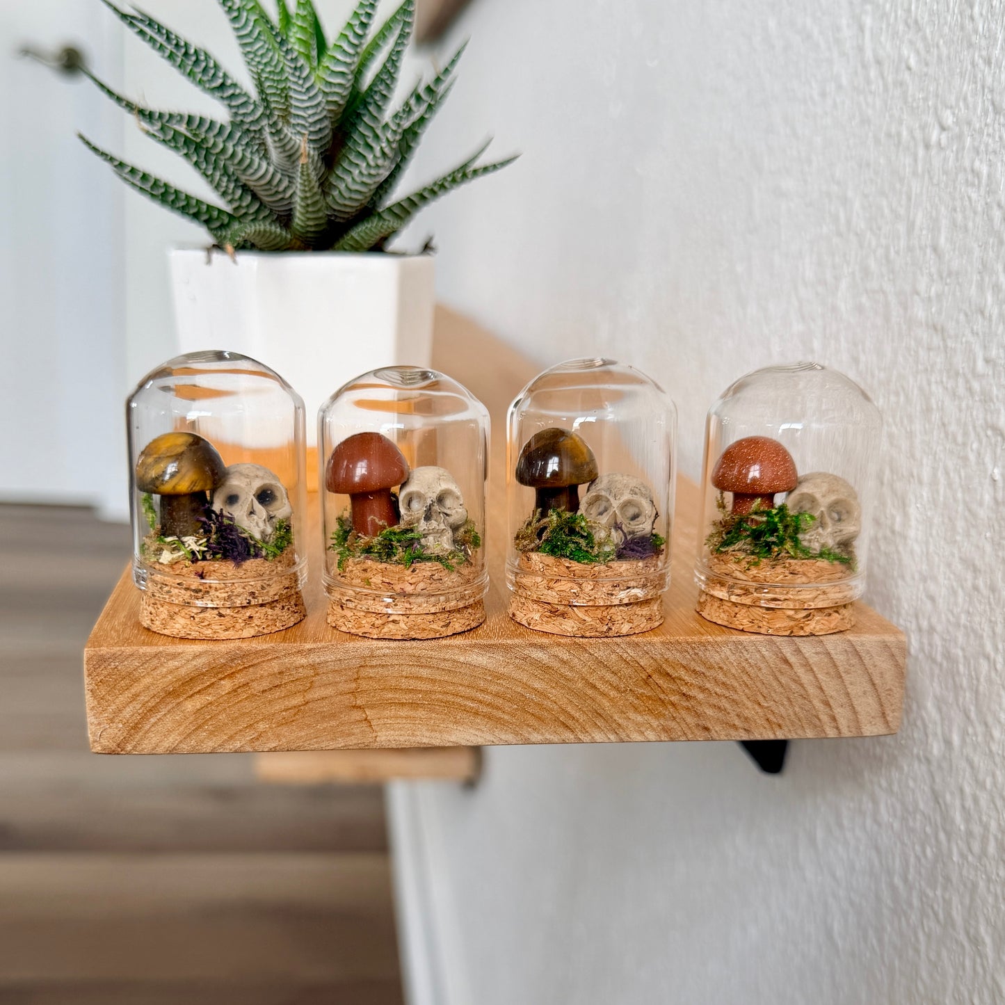 Mini Crystal Mushroom & Skull Terrarium | Gothic Cottagecore Décor | Miniature Moss Terrarium