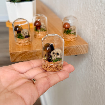 Mini Crystal Mushroom & Skull Terrarium | Gothic Cottagecore Décor | Miniature Moss Terrarium