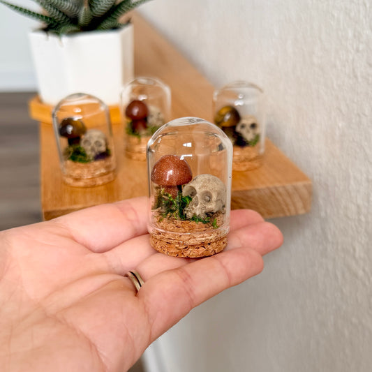 Mini Crystal Mushroom & Skull Terrarium | Gothic Cottagecore Décor | Miniature Moss Terrarium