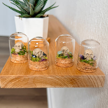 Mini Skull & Crystal Terrarium | Gothic Cottagecore Décor | Miniature Moss Terrarium