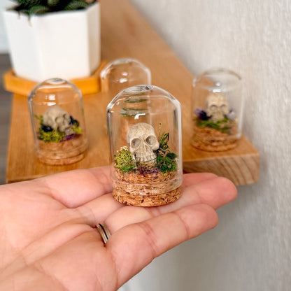 Mini Skull & Crystal Terrarium | Gothic Cottagecore Décor | Miniature Moss Terrarium
