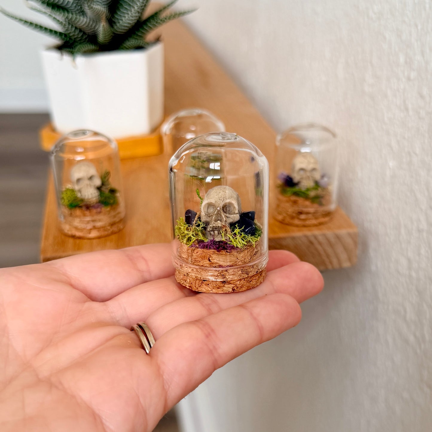 Mini Skull & Crystal Terrarium | Gothic Cottagecore Décor | Miniature Moss Terrarium