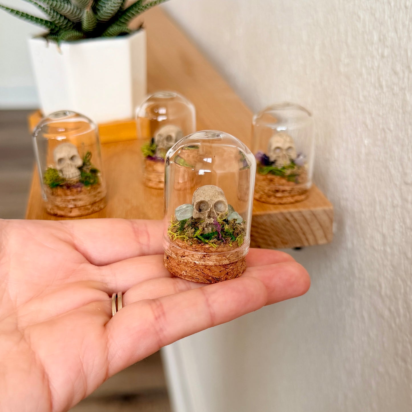 Mini Skull & Crystal Terrarium | Gothic Cottagecore Décor | Miniature Moss Terrarium
