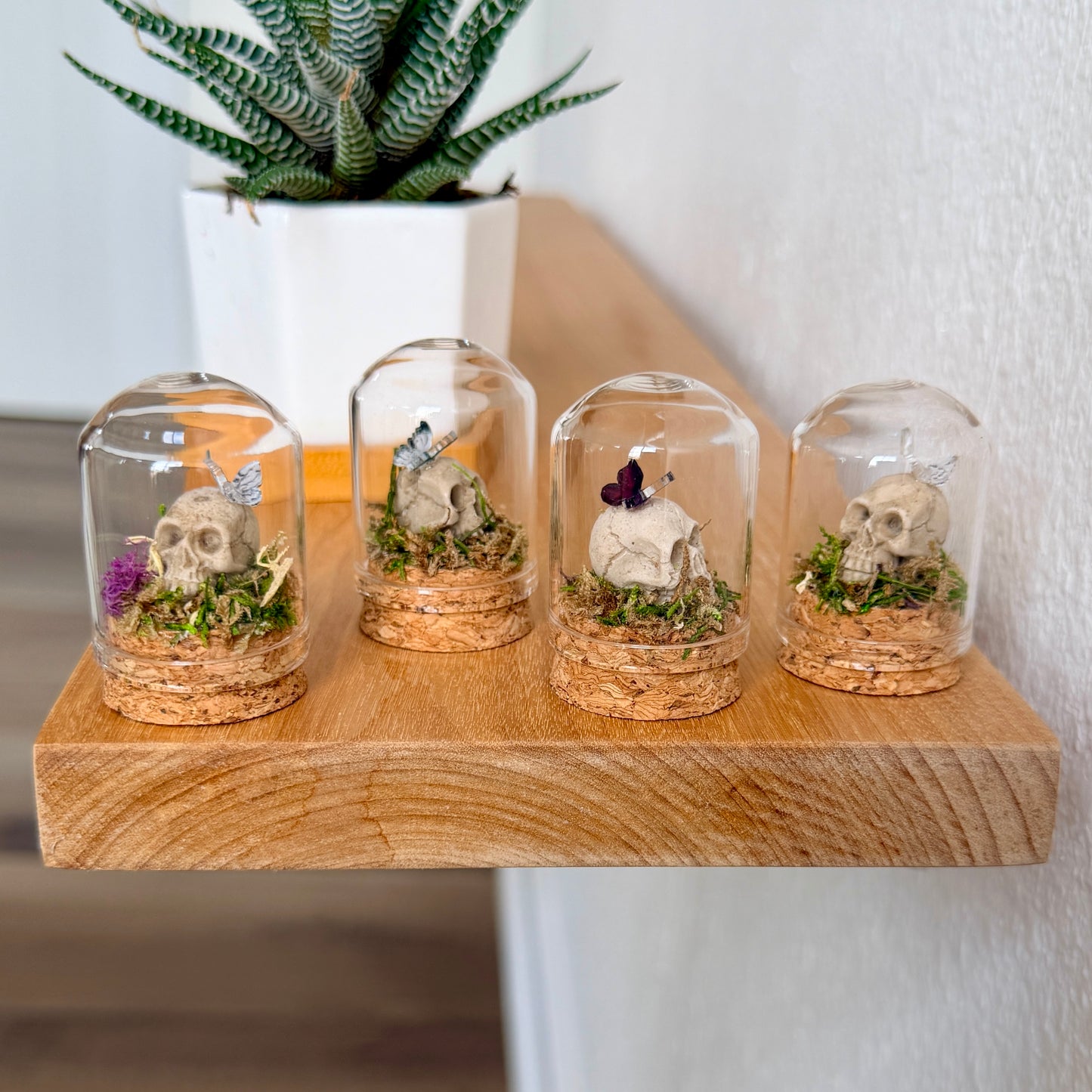 Mini Skull Terrarium with Butterfly | Gothic Cottagecore Décor | Miniature Moss Terrarium
