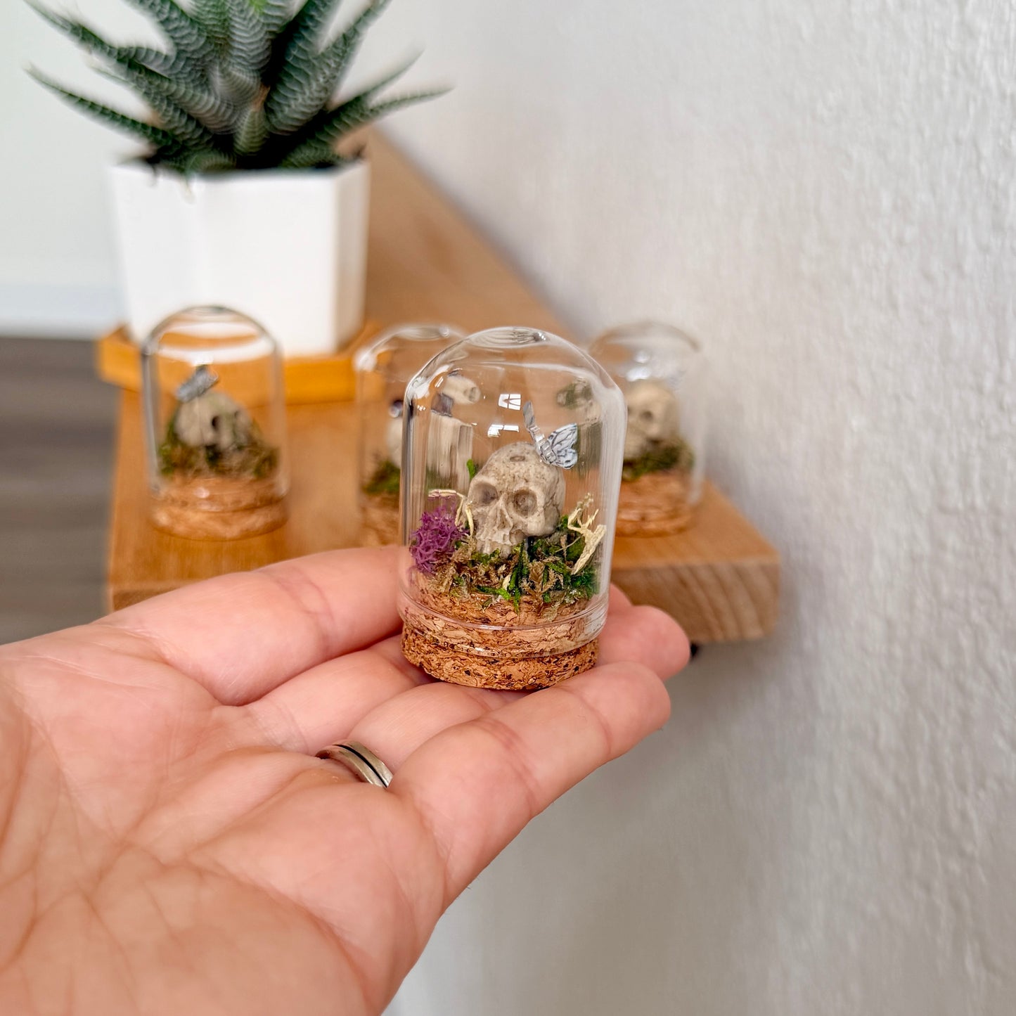 Mini Skull Terrarium with Butterfly | Gothic Cottagecore Décor | Miniature Moss Terrarium