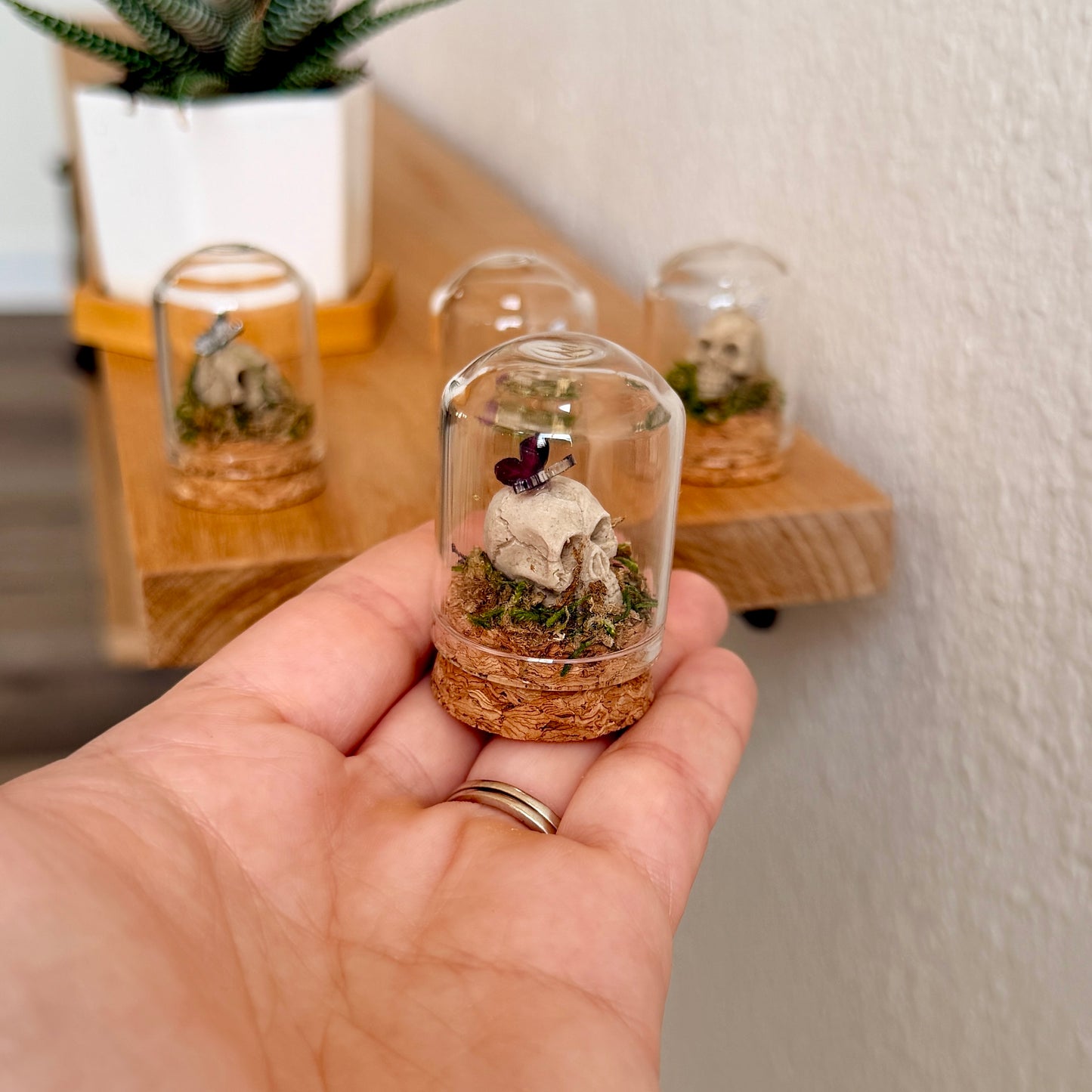 Mini Skull Terrarium with Butterfly | Gothic Cottagecore Décor | Miniature Moss Terrarium