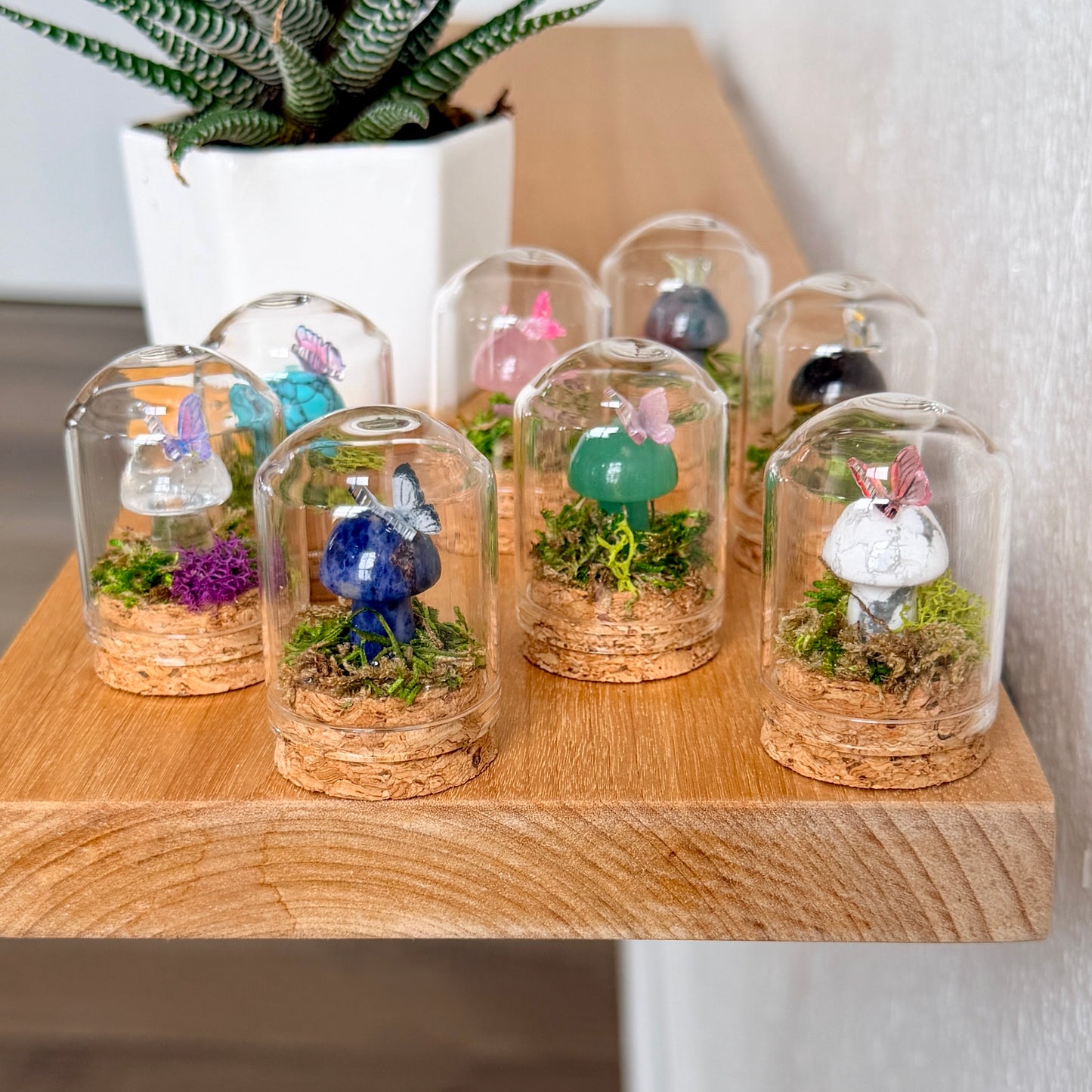 Mini Crystal Mushroom Terrarium | Crystal Mushroom Display | Fairy Garden Decor | Choose Your Crystal