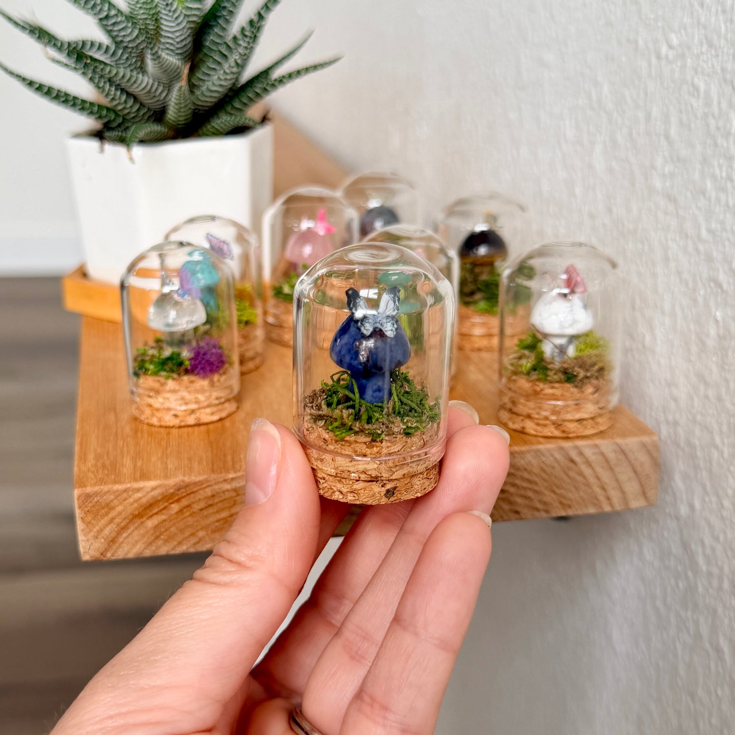 Mini Crystal Mushroom Terrarium | Crystal Mushroom Display | Fairy Garden Decor | Choose Your Crystal