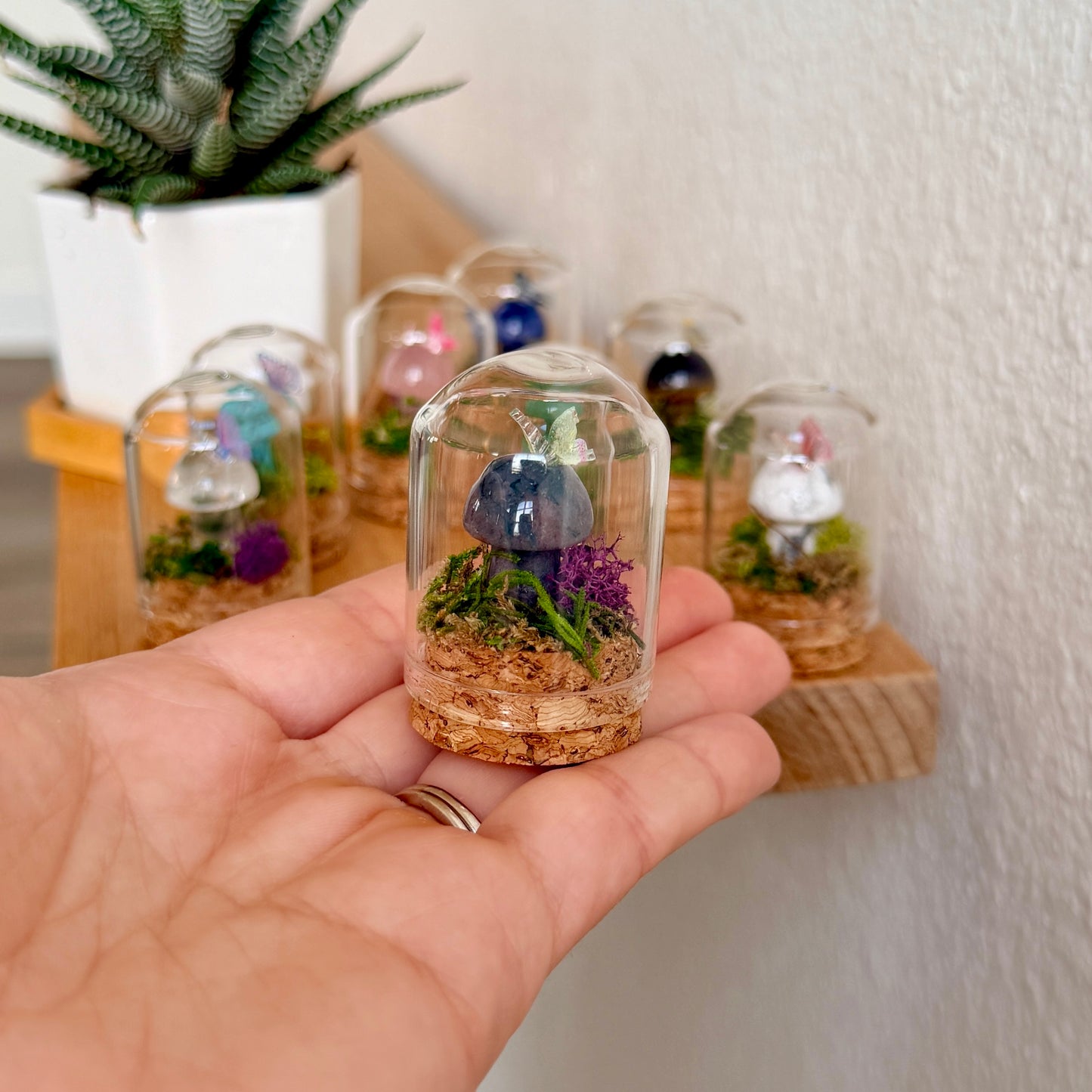 Mini Crystal Mushroom Terrarium | Crystal Mushroom Display | Fairy Garden Decor | Choose Your Crystal