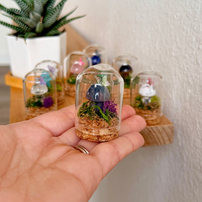 Mini Crystal Mushroom Terrarium | Crystal Mushroom Display | Fairy Garden Decor | Choose Your Crystal