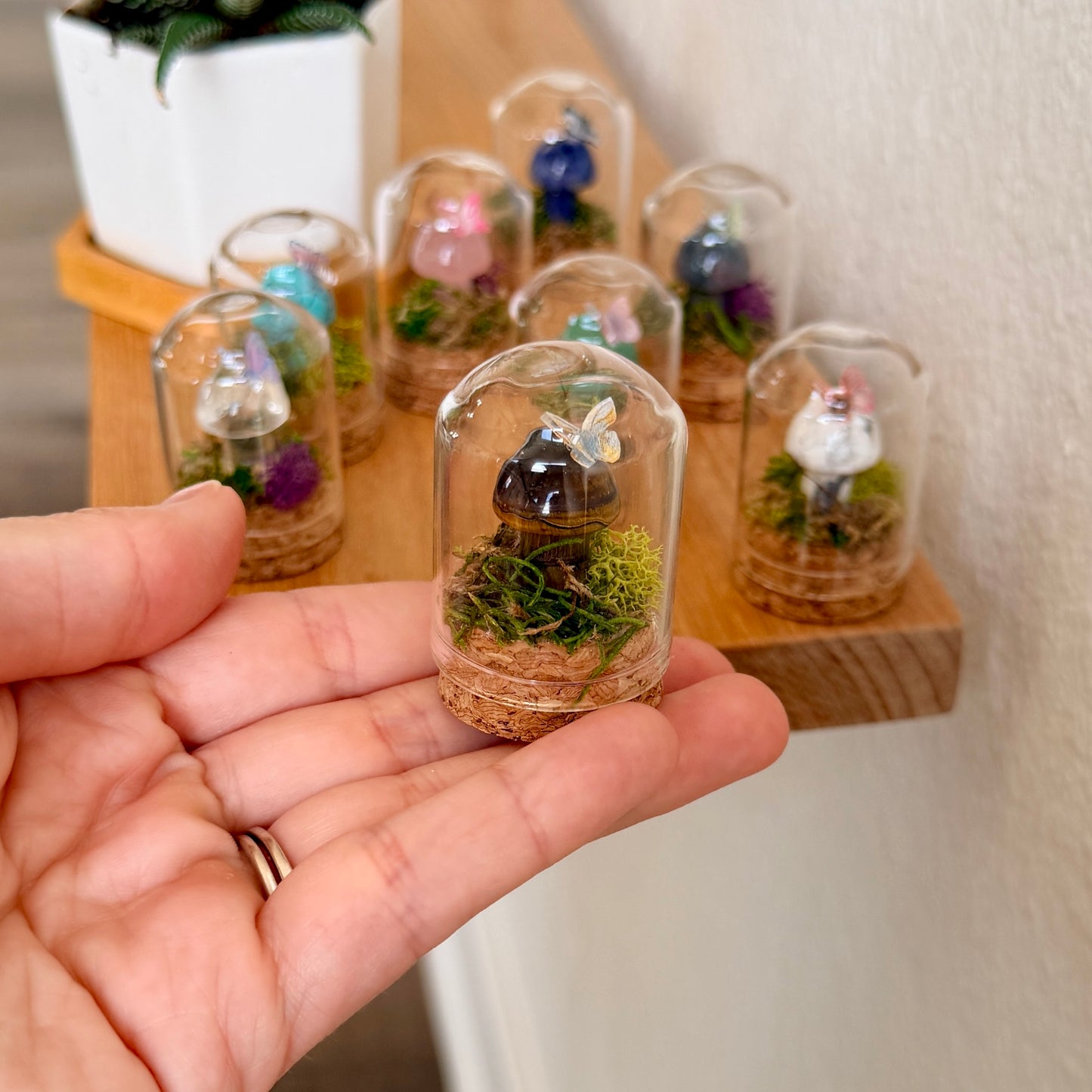Mini Crystal Mushroom Terrarium | Crystal Mushroom Display | Fairy Garden Decor | Choose Your Crystal