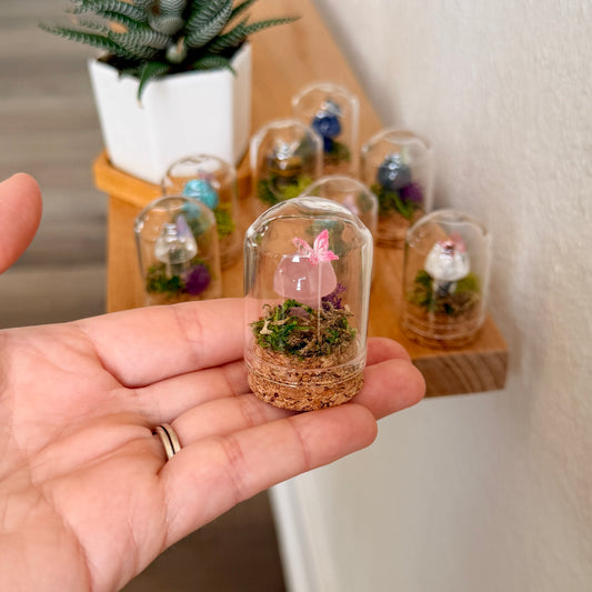 Mini Crystal Mushroom Terrarium | Crystal Mushroom Display | Fairy Garden Decor | Choose Your Crystal
