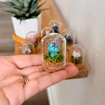 Mini Crystal Mushroom Terrarium | Crystal Mushroom Display | Fairy Garden Decor | Choose Your Crystal