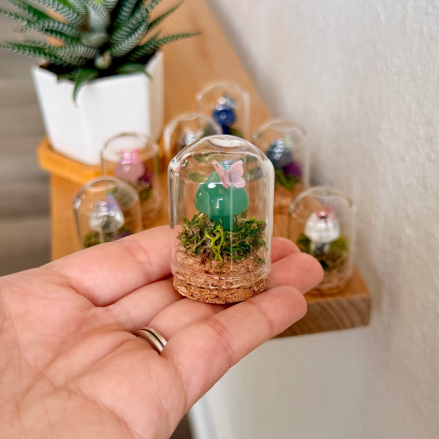 Mini Crystal Mushroom Terrarium | Crystal Mushroom Display | Fairy Garden Decor | Choose Your Crystal