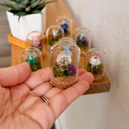 Mini Crystal Mushroom Terrarium | Crystal Mushroom Display | Fairy Garden Decor | Choose Your Crystal
