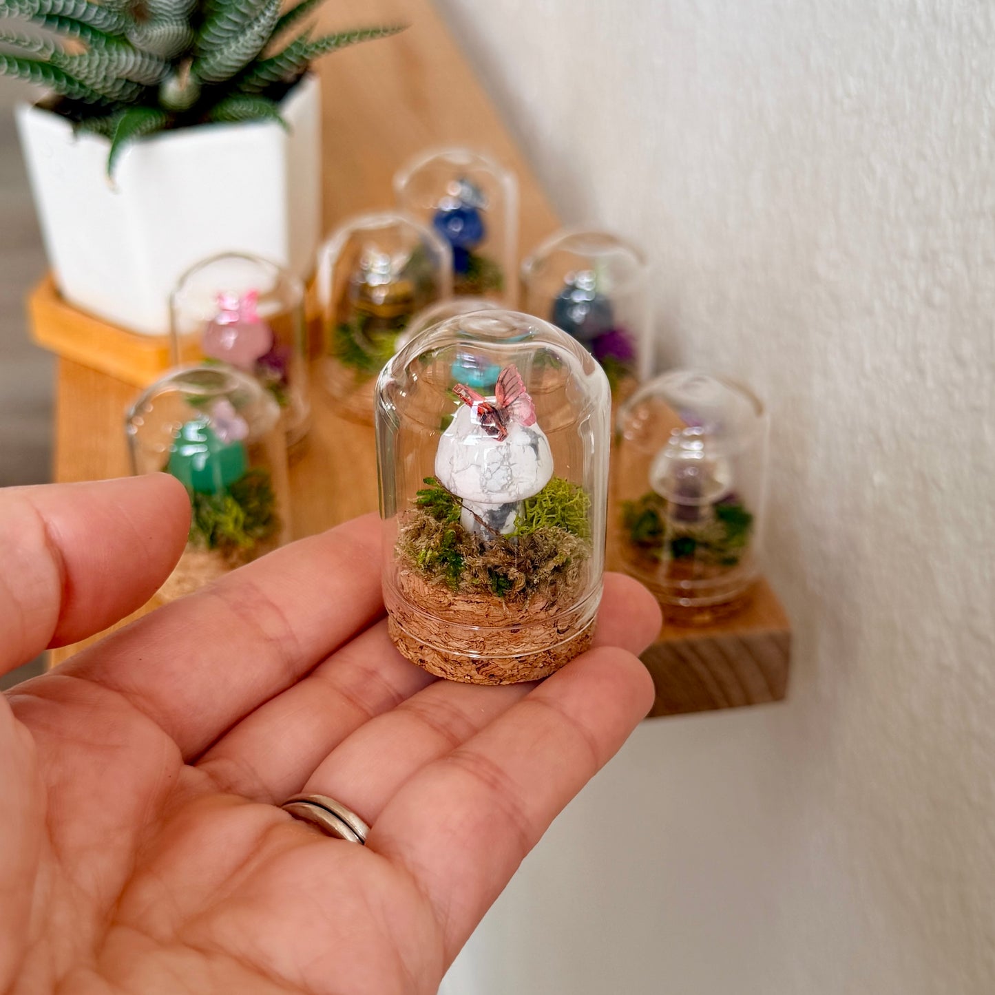 Mini Crystal Mushroom Terrarium | Crystal Mushroom Display | Fairy Garden Decor | Choose Your Crystal