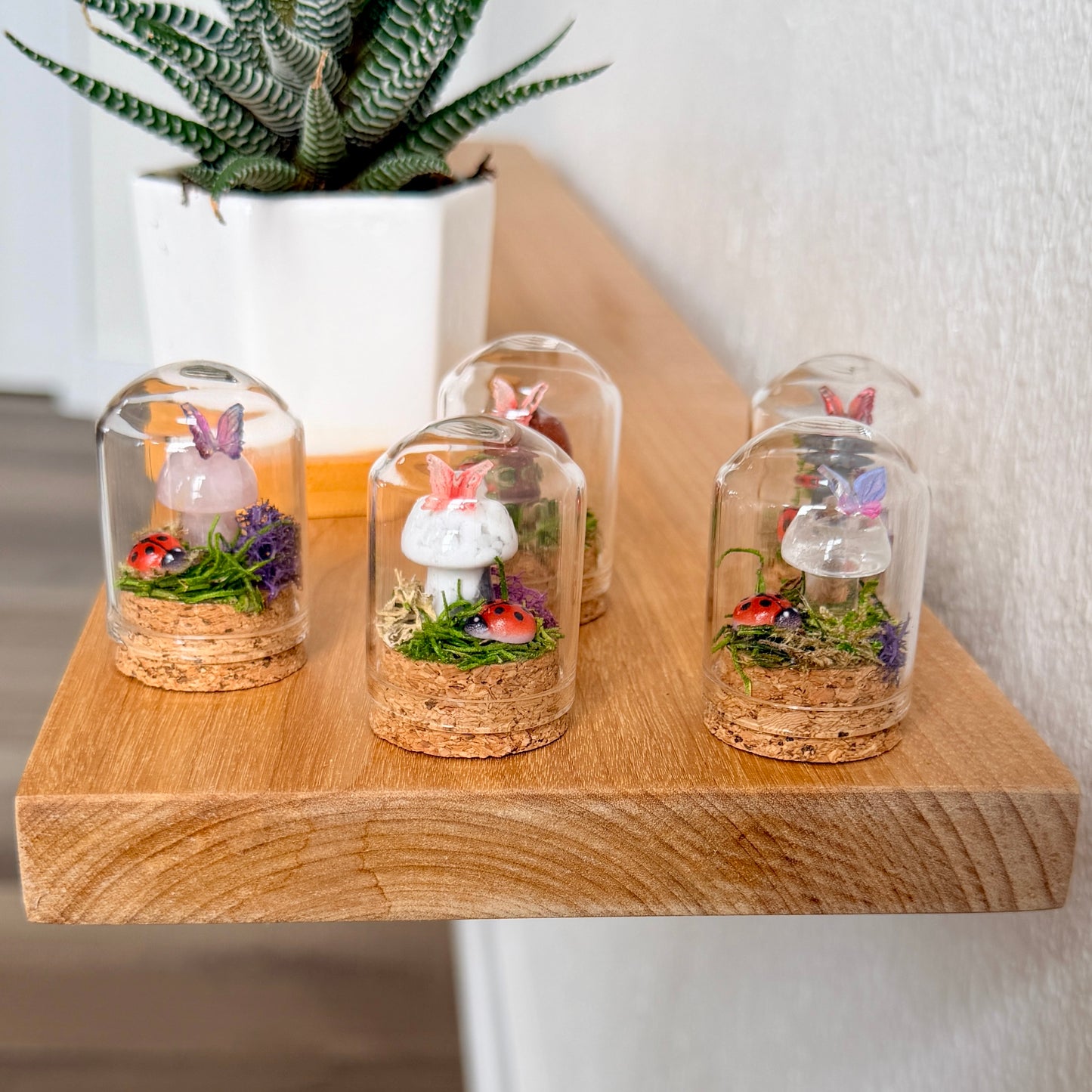 Mini Crystal Mushroom & Ladybug Terrarium | Handmade Moss Terrarium | Cottagecore Decor | Fairy Garden Display | Choose Your Crystal