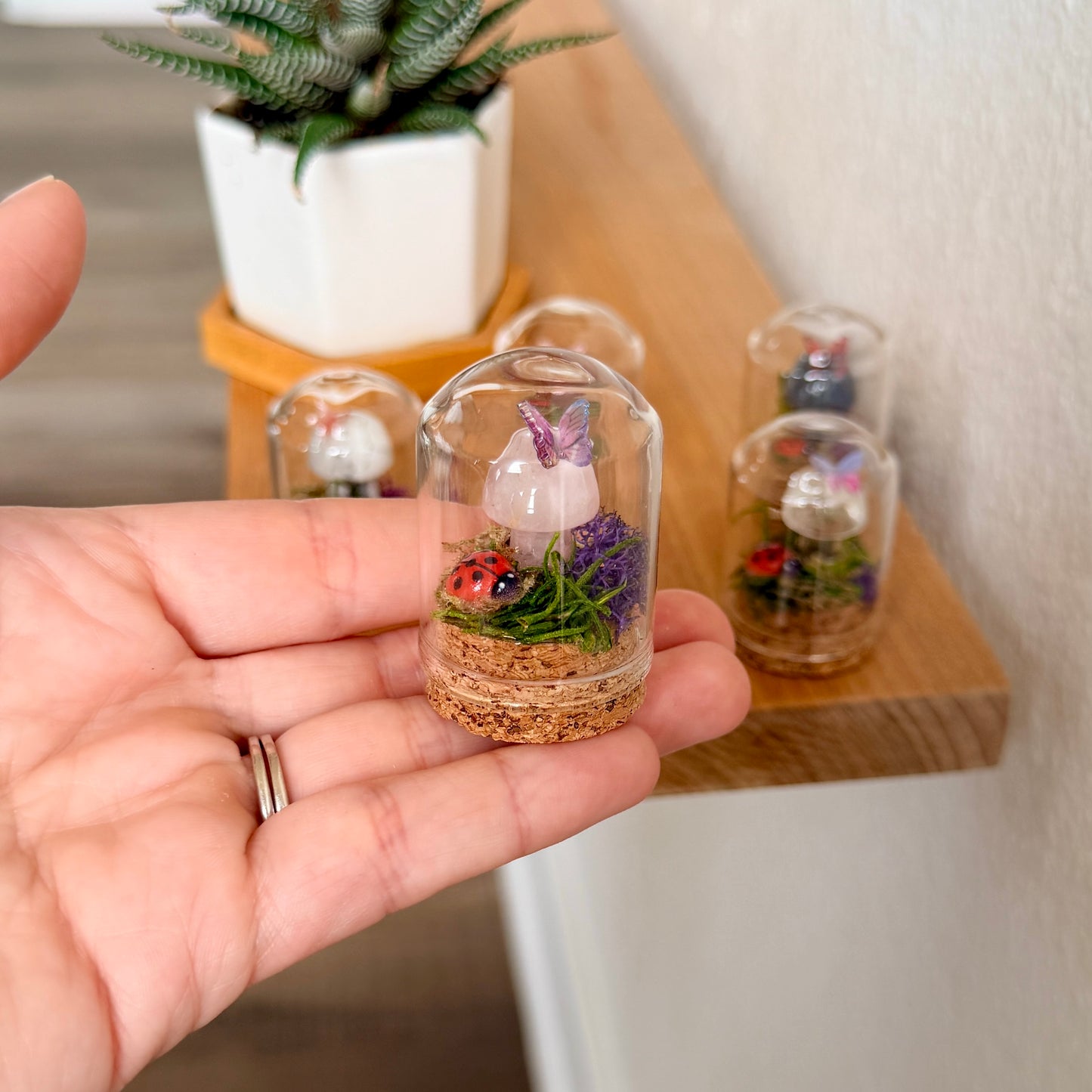 Mini Crystal Mushroom & Ladybug Terrarium | Handmade Moss Terrarium | Cottagecore Decor | Fairy Garden Display | Choose Your Crystal