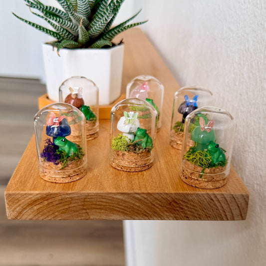 Mini Crystal Mushroom & Frog Terrarium | Handmade Moss Terrarium | Cottagecore Decor | Fairy Garden Display | Choose Your Crystal