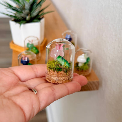 Mini Crystal Mushroom & Frog Terrarium | Handmade Moss Terrarium | Cottagecore Decor | Fairy Garden Display | Choose Your Crystal