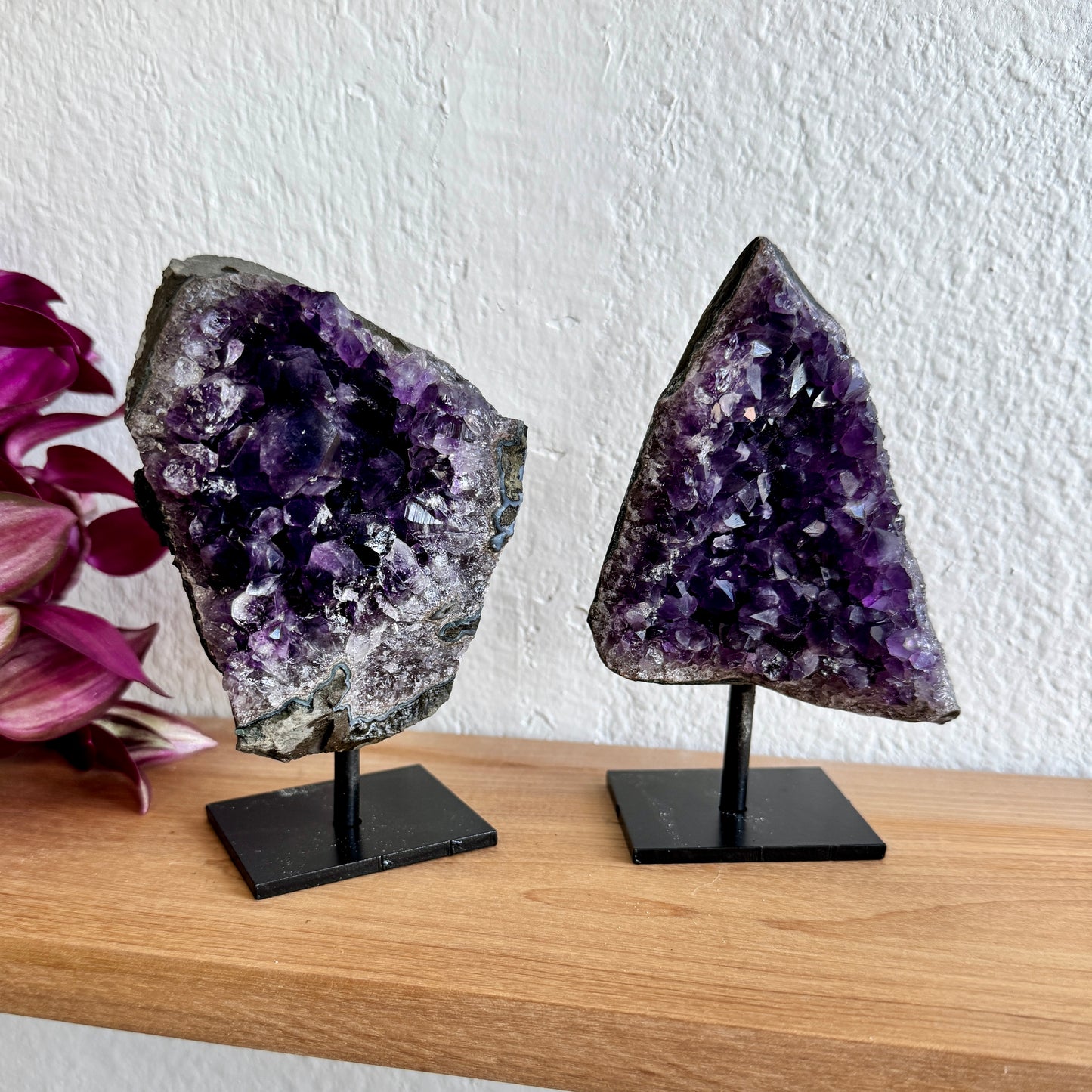 Two amethyst crystal specimens on stands with a white wall background