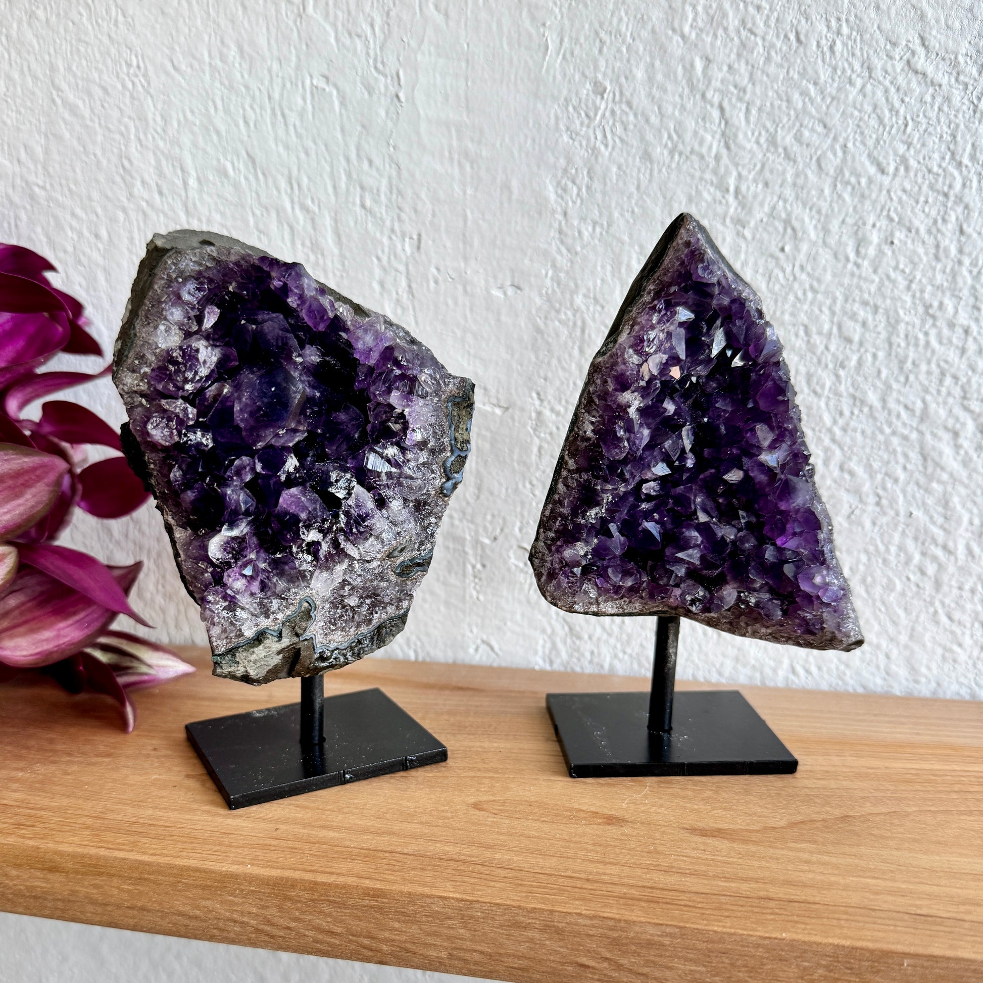 Two amethyst crystal specimens on stands with a white wall background