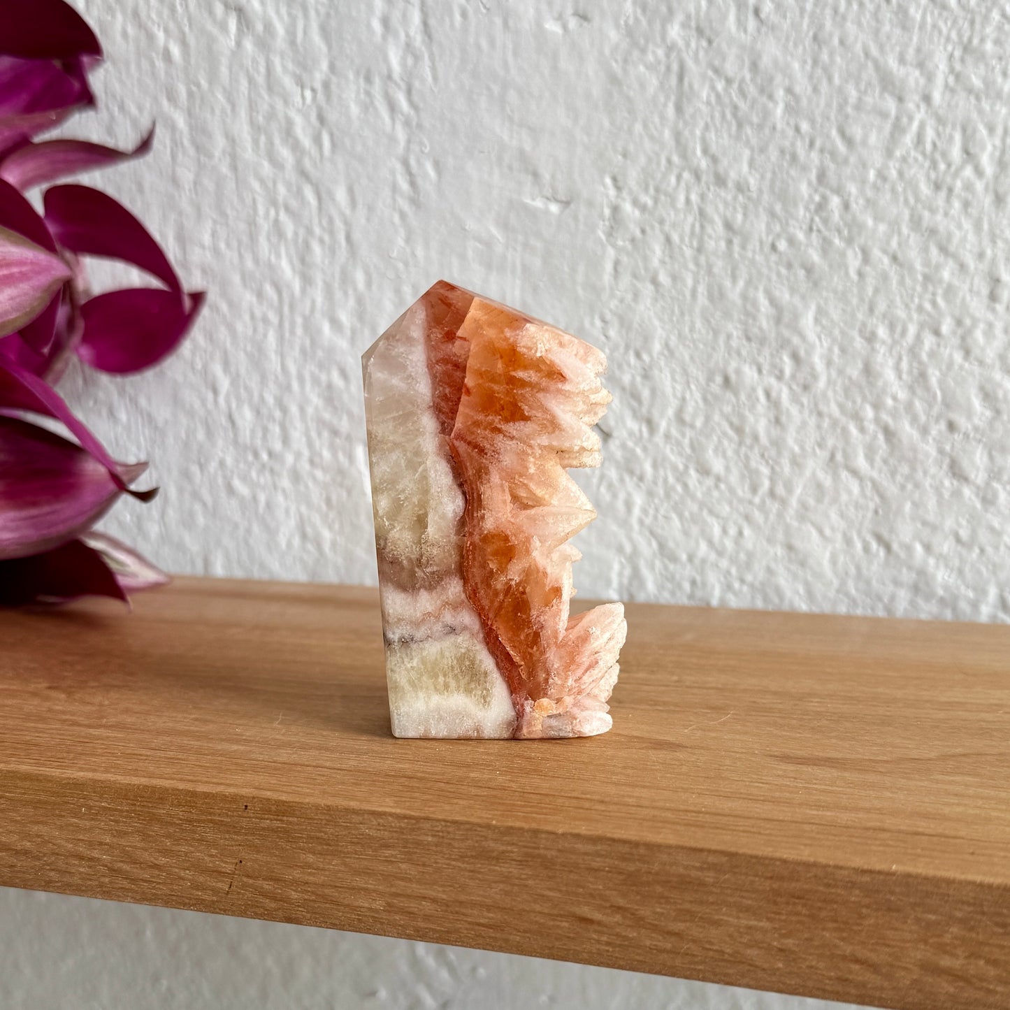 Decorative dogtooth calcite crystal on a wooden shelf with a white wall background