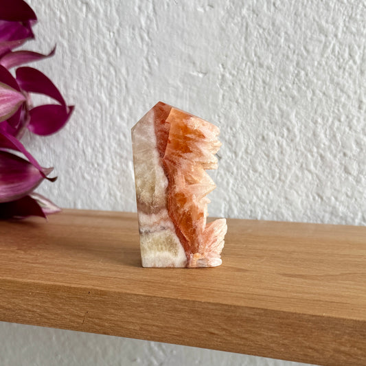 Decorative dogtooth calcite crystal on a wooden shelf with a white wall background