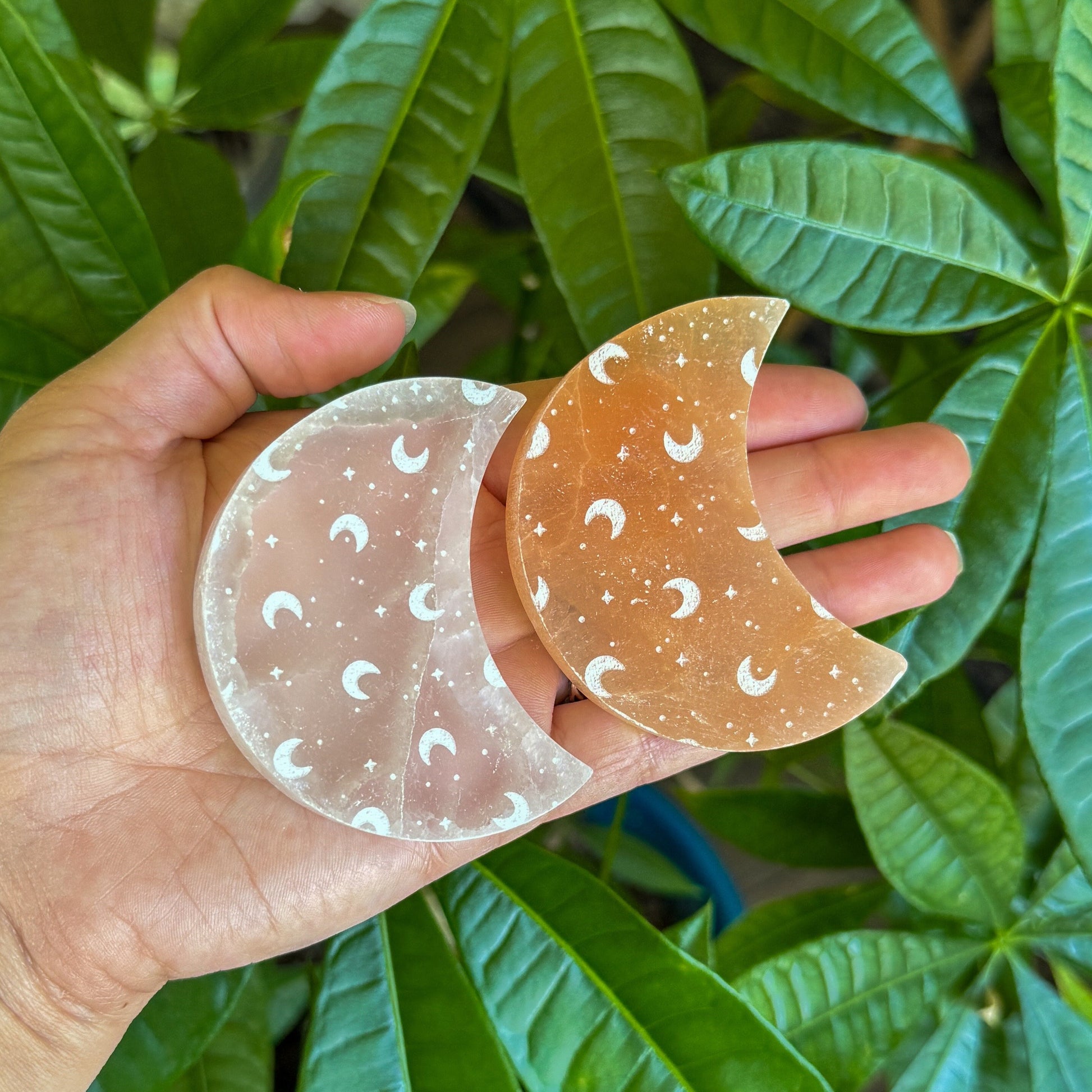 Hand holding two selenite crescent moons with engraved moon patterns against a green leafy background