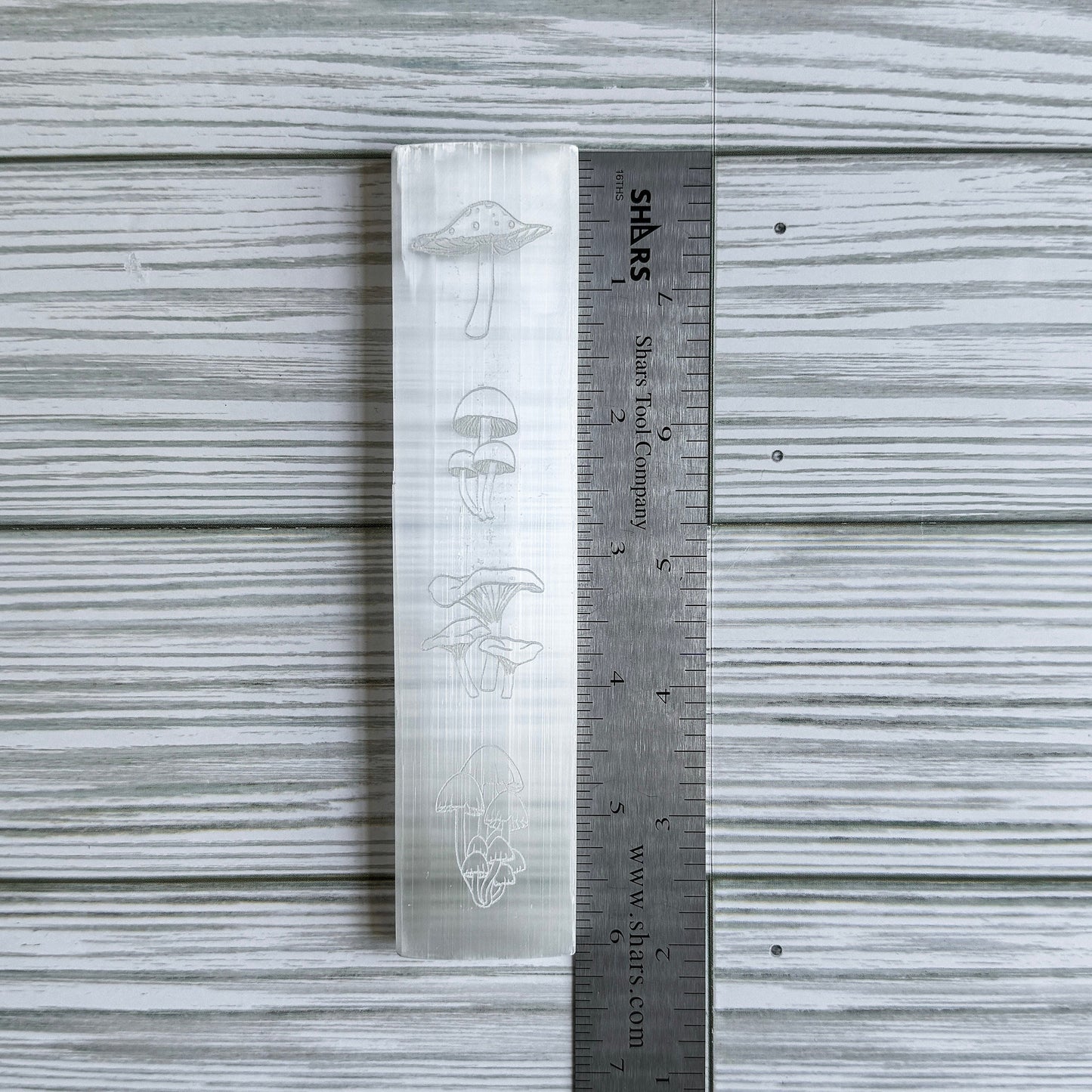 Mushroom Engraved Selenite Charging Plate - 6" Satin Spar Bar