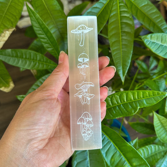 Hand holding a selenite crystal bar with engraved mushroom designs against a green leafy background